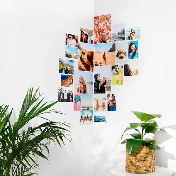 Galerie Photos