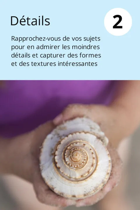 2) Détails   Rapprochez-vous de vos sujets pour en admirer les moindres détails et capturer des formes et des textures intéressantes.